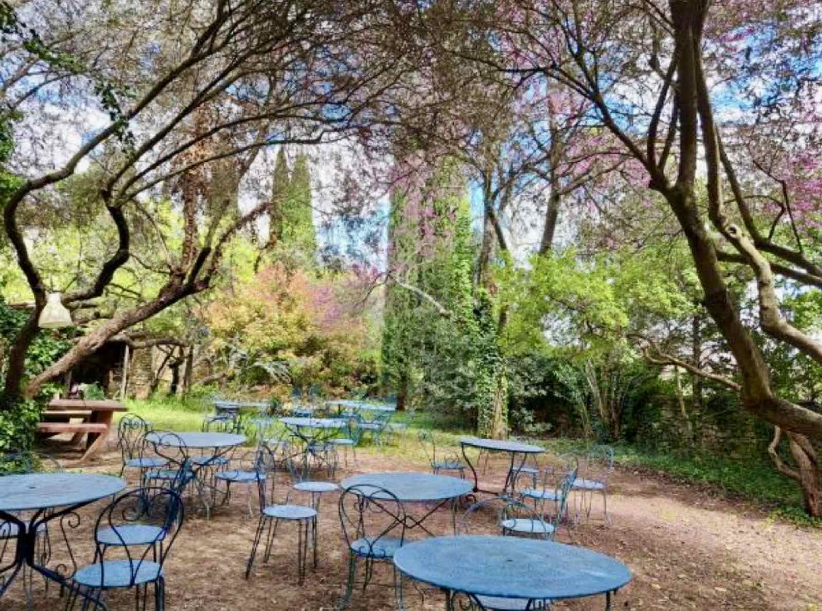 Le jardin du mas, ombragé et planté d'arbres